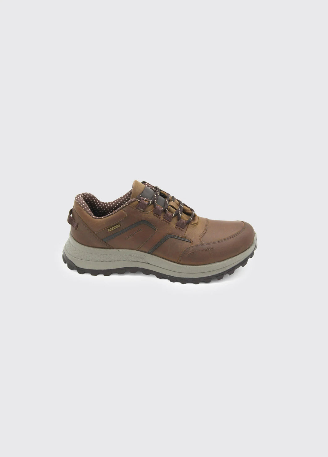 Dubarry Mens Tan Lace-Up Shoe: Colorado